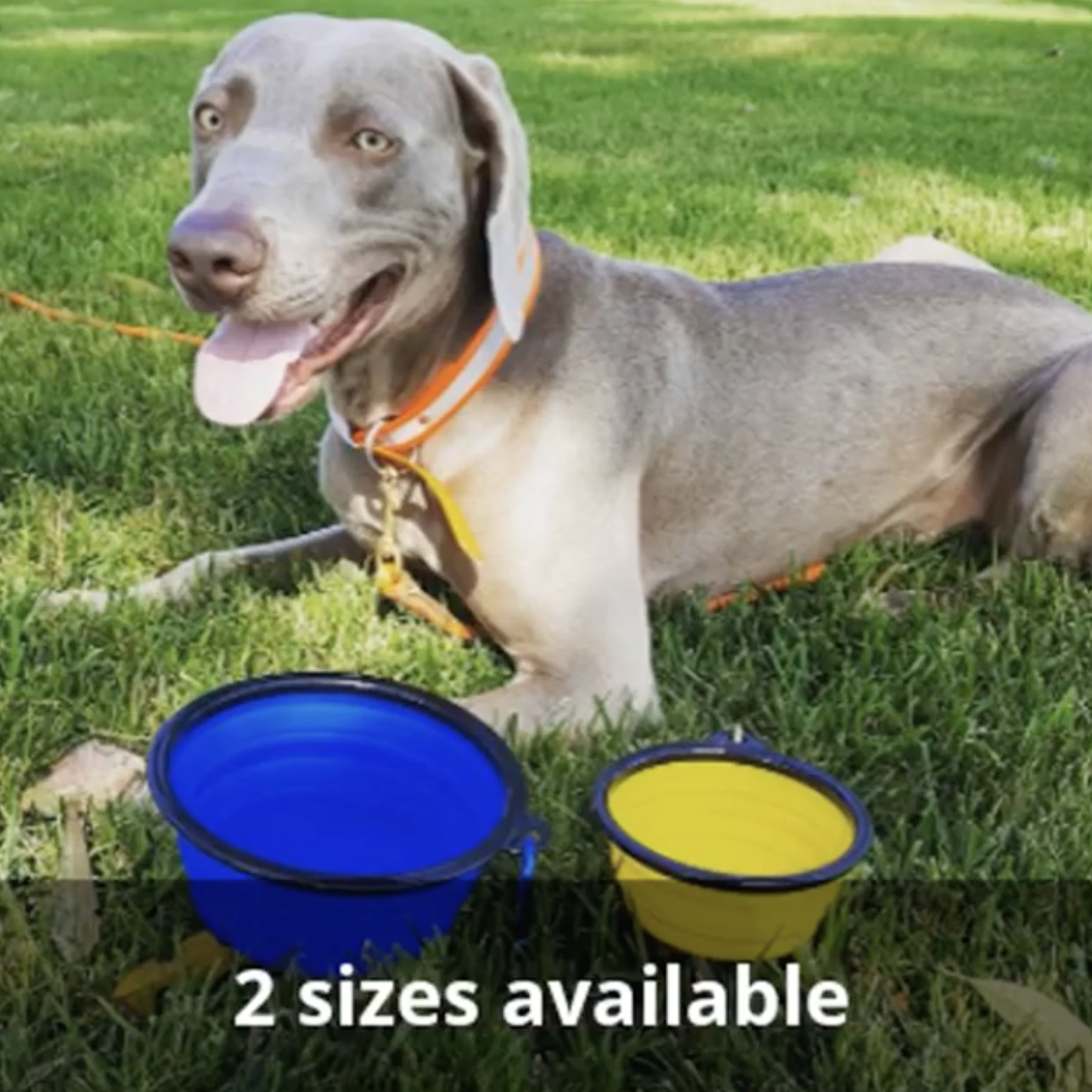 Emergency Pet Food & Water Bowl Set – 2 Pack Collapsible Travel Bowls