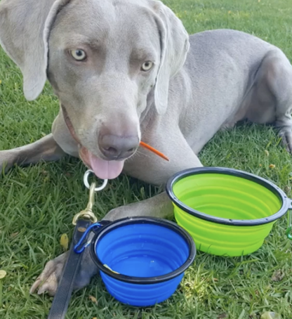 Emergency Pet Food & Water Bowl Set – 2 Pack Collapsible Travel Bowls